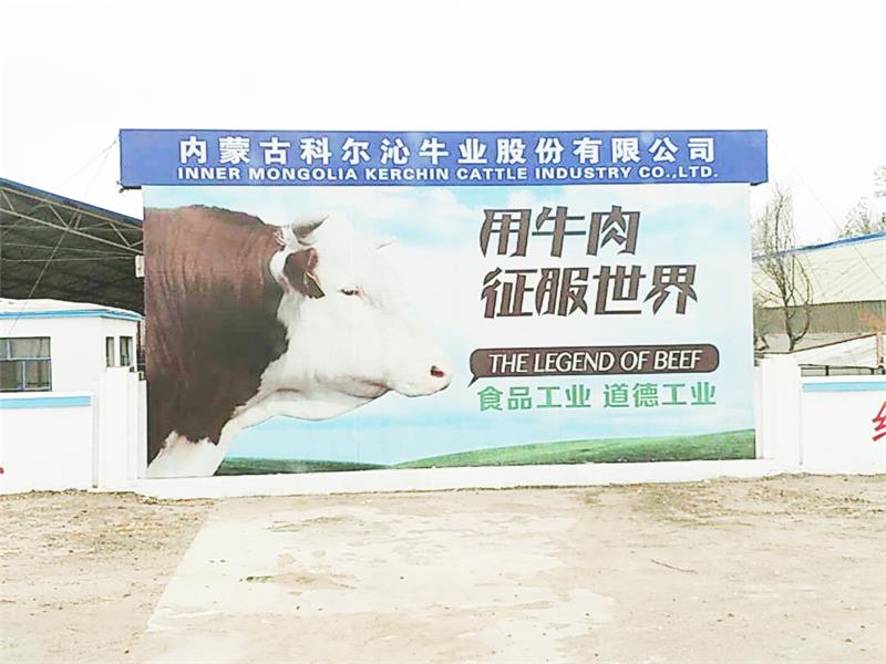 內(nèi)蒙古科爾沁牛業(yè)